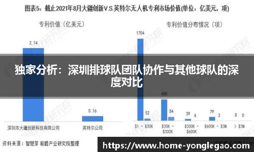 独家分析：深圳排球队团队协作与其他球队的深度对比